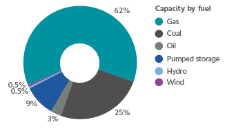Pie chart displaying Capacity by fuel